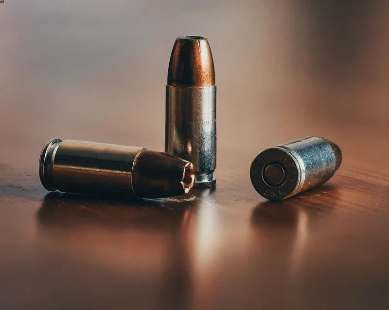 gun ammunition possession by felon